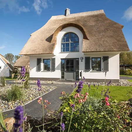 Schilfrohrsaenger 36 Fuhlendorf (Mecklenburg-Vorpommern)