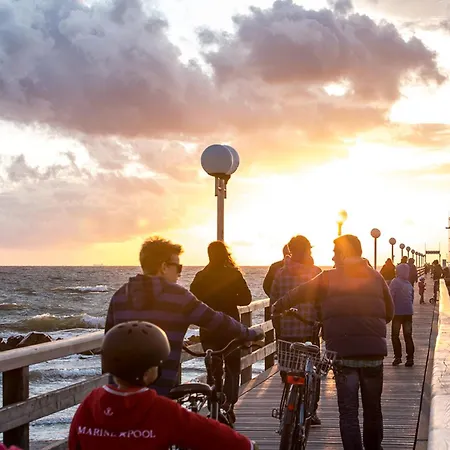 Schilfrohrsaenger 36 *