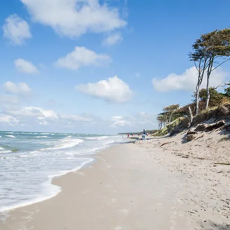 Schilfrohrsaenger 36 Fuhlendorf (Mecklenburg-Vorpommern)