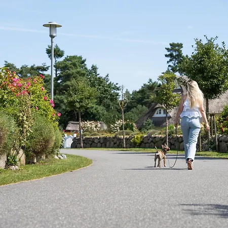 Schilfrohrsaenger 36 *