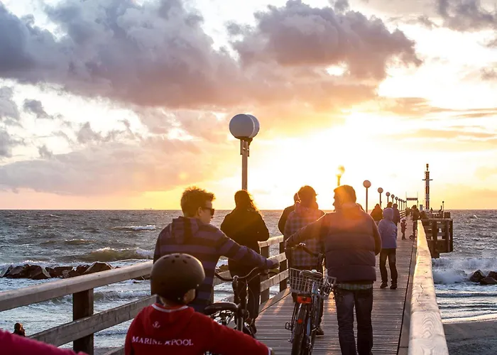 Schilfrohrsaenger 36 *