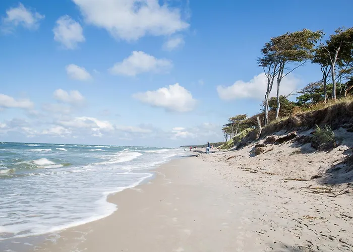 Schilfrohrsaenger 36 풀렌도르프