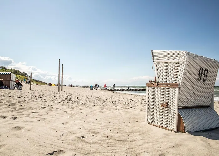 Schilfrohrsaenger 36 * 풀렌도르프