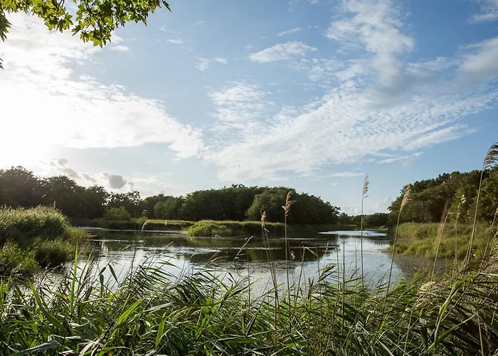 펜션 Schilfrohrsaenger 36 *