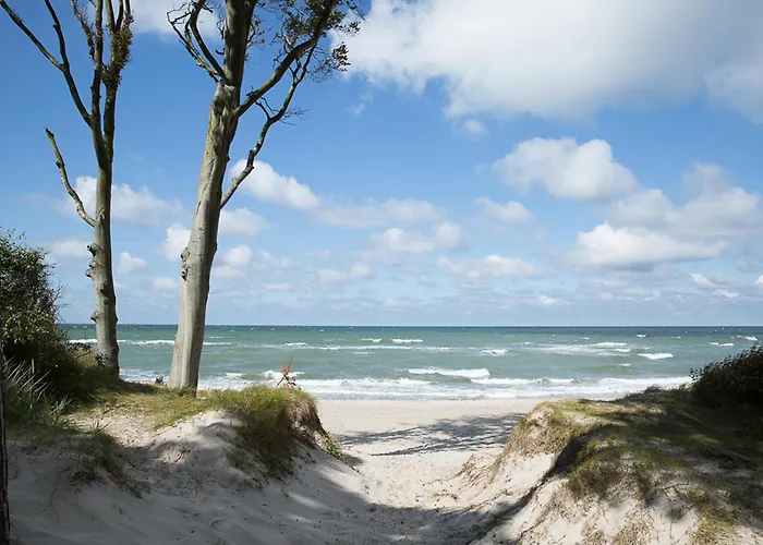 Schilfrohrsaenger 36 펜션 풀렌도르프