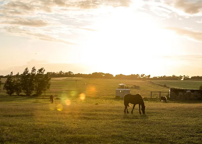 펜션 Schilfrohrsaenger 36 풀렌도르프