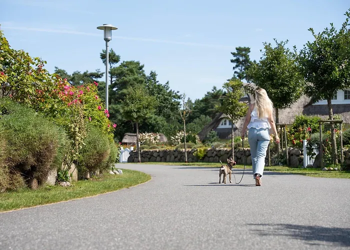 Schilfrohrsaenger 36 *